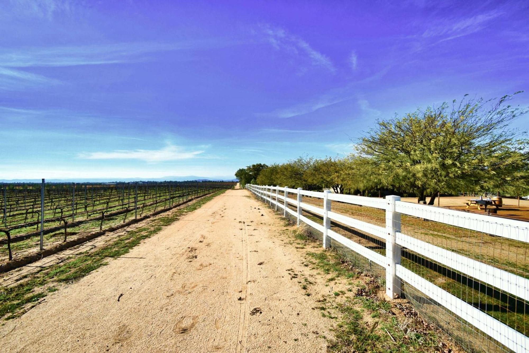 Peppertree Lane Ranch -- Seven-Acre Ranch In The Heart Of Wine Country Hotel Temecula Exterior foto